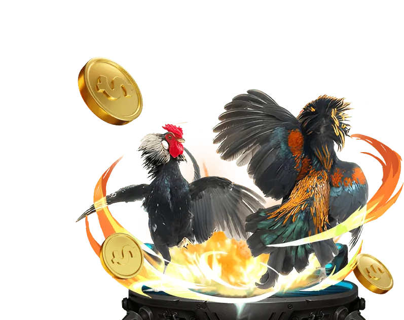 Phân tích xu hướng cá cược