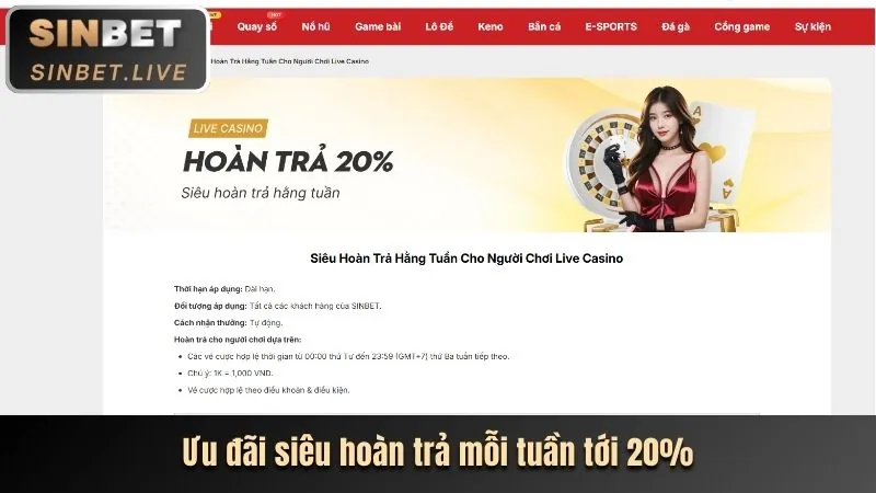 Các bước tham gia chương trình VIP